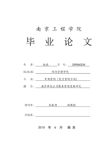 南京市供电公司服务营销策略研究