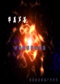 华美芦荟市场营销策划初案