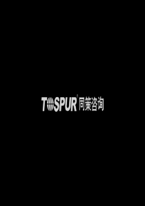 同策_上海嘉定新城白银路项目营销策略_93PPT