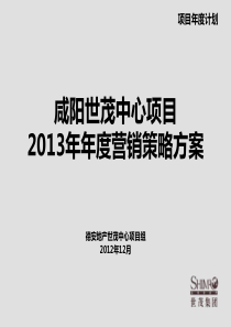 咸阳世茂中心项目XXXX年营销策略方案