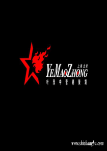 叶茂中营销策划大红鹰品牌营销诊断及规划ppt152