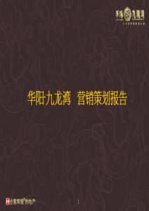 合富辉煌_合肥华阳九龙湾营销策划报告_151P