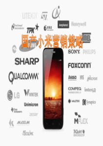 国产小米营销策略