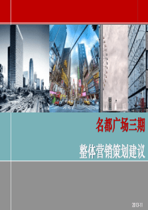 名都王府项目营销策划