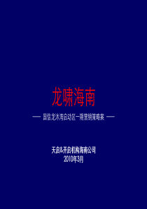 天启开启_海南三亚国信龙沐湾启动区一期营销策略提案_121页_XXXX年