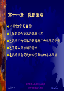 市场营销第11章促销策略