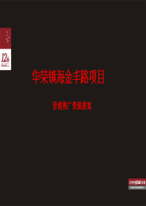 宁波镇海区华荣镇海金丰路项目营销策划案-23PPT
