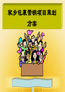 家乡包裹营销项目策划