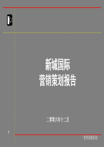 富饶新城国际营销策划报告