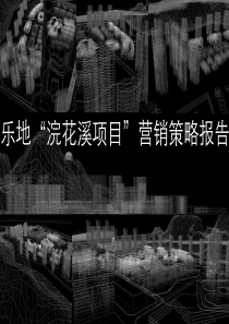 成都乐地“浣花溪项目”营销策略报告