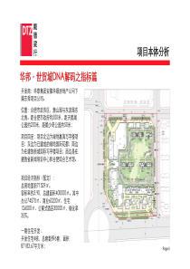 戴德梁行_合肥华邦世贸城综合体项目整体营销策略报告_203PPT