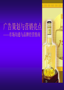 广告培训广告策划与营销亮点
