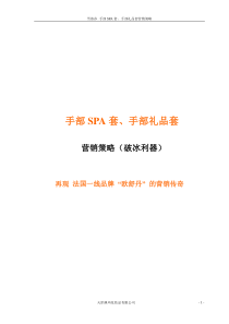 手部SPA套,营销策略