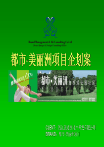 成都“都市美丽洲”营销策划总案 (62P)