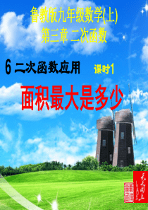 新鲁教版-3.6-二次函数的应用-1