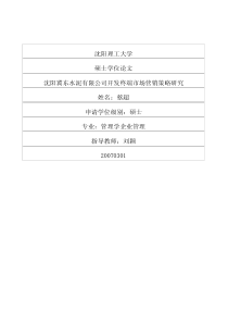 沈阳冀东水泥有限公司开发终端市场营销策略研究(1)