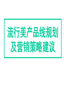 流行美产品规划及营销策略建议