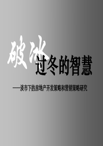 淡市下的房地产开发和营销策略研究76页