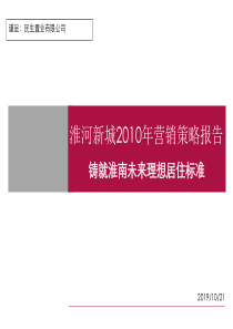 淮河新城XXXX年营销策略报告