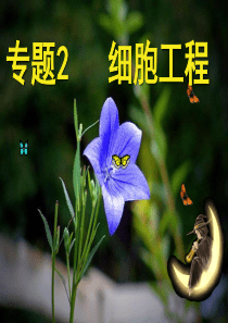 专题2、细胞工程及植物细胞工程技术