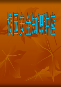 校园安全知识讲座_营销活动策划_计划解决方案_实用文档