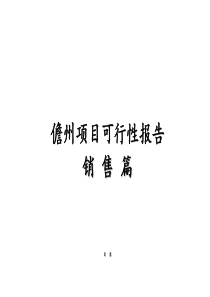 楼盘销售策划案