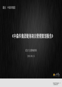 武汉中森华集团堤角项目营销策划报告_100PPT_XXXX年