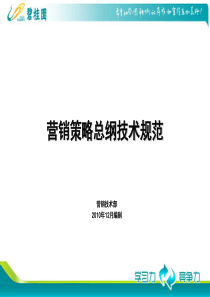 碧桂园营销策略总纲模板