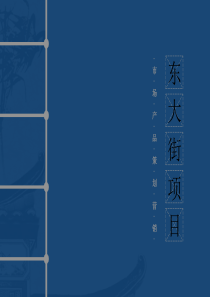 江苏海安县东大街项目市场产品策划营销方案_304PPT_XXXX年