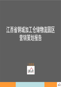 江西省钢城加工仓储物流园区营销策划报告--onion0316