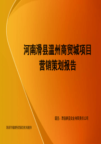 河南滑县温州商贸城项目营销策划报告_186PPT