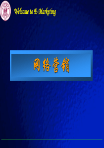 网络营销-渠道策略