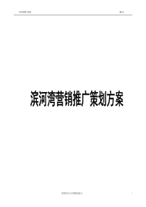滨河湾整合营销策划方案