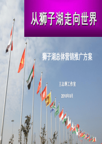 王志刚大师经典—狮子湖总体营销推广策划方案