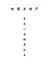 甘肃土特产黑美人营销策划案)