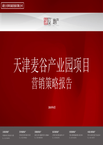 营销策略报告--天津麦谷项目（PPT133页）