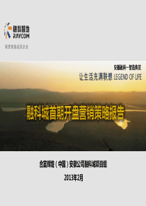 融科城开盘前营销策略报告57p