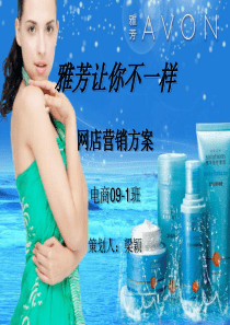 网店营销策划书 ppt
