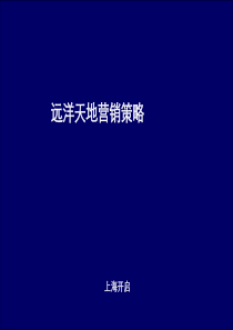 辽宁沈阳远洋天地项目年度营销策略方案_109页