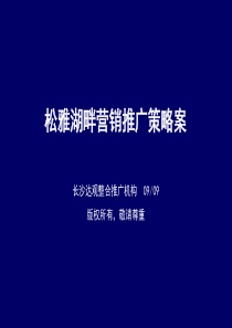 长沙松雅湖畔营销推广策略案_139PPT_达观机构