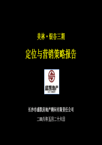 长沙美林银谷三期定位与营销策略报告