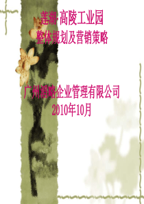 陕西西安莲湖高陵工业园整体规划及营销策略