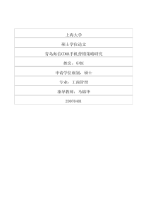 青岛海信cdma手机营销策略研究