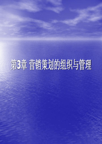 营销策划(方法、技巧与文案)第三章