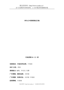 营销策划--神内公司营销策划方案（DOC 18页）