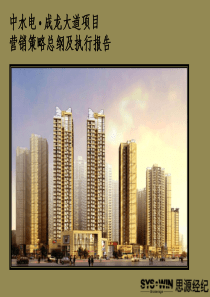 龙泉大面镇中水电水立方项目营销策略及执行方案(END)