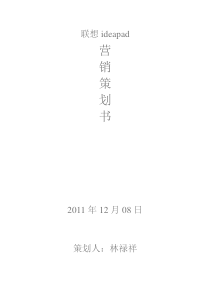 营销策划书9625565119