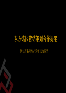 营销策划合作提案2