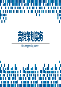 营销策划实务第三章营销战术策划第2节价格策划
