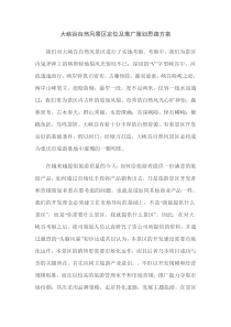 营销策划思路方案